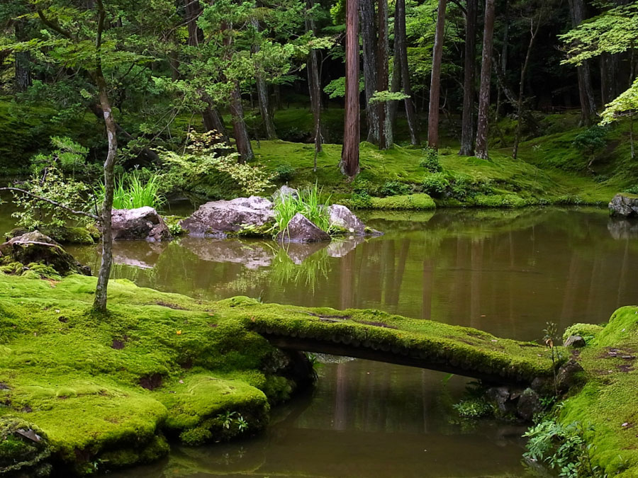 Сад мхов в Японии