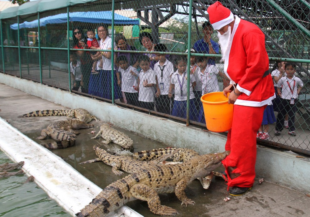 Санта Клаус и крокодилы