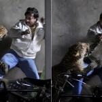 Фото дня: нападение леопарда на человека
