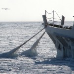 Черное море замерзло