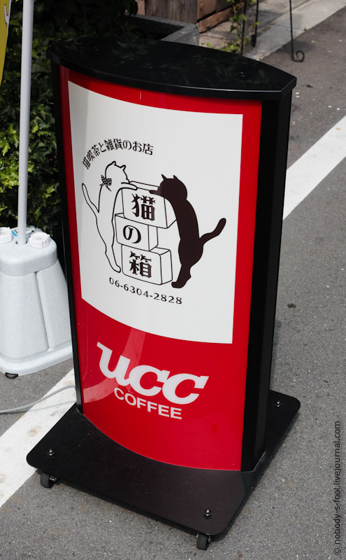 Кото-кафе в Осаке