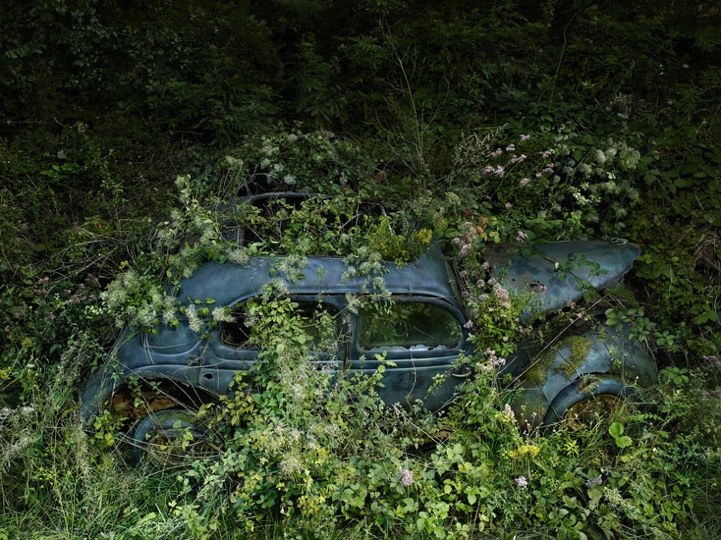 Paradise Parking. (Peter Lippman)