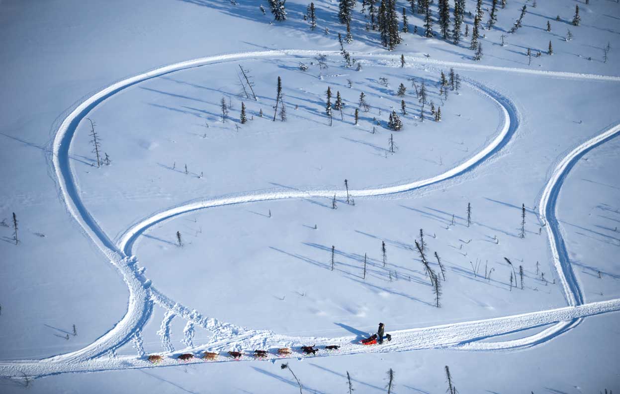 Гонка на собачьих упряжках «Iditarod»