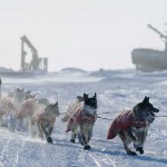 40-я ежегодная гонка на собачьих упряжках «Iditarod»  