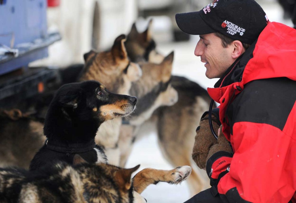 Гонка на собачьих упряжках «Iditarod» 