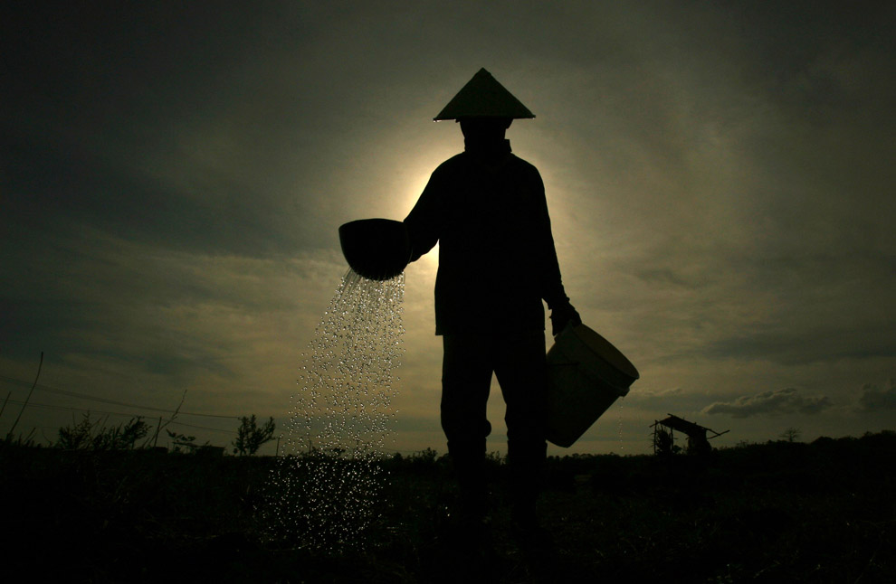 Индонезийский фермер
