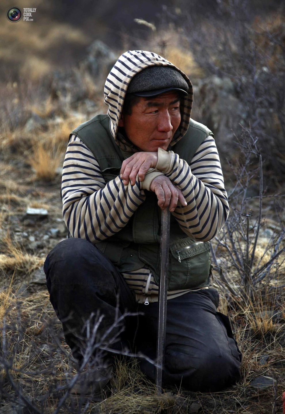 Добыча золота в Монголии