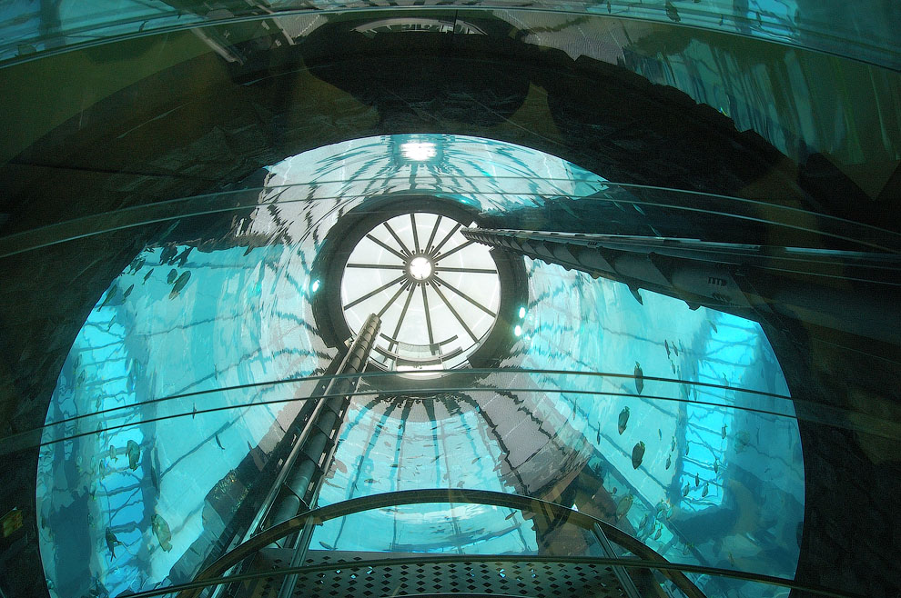Гигантский аквариум Аквадом