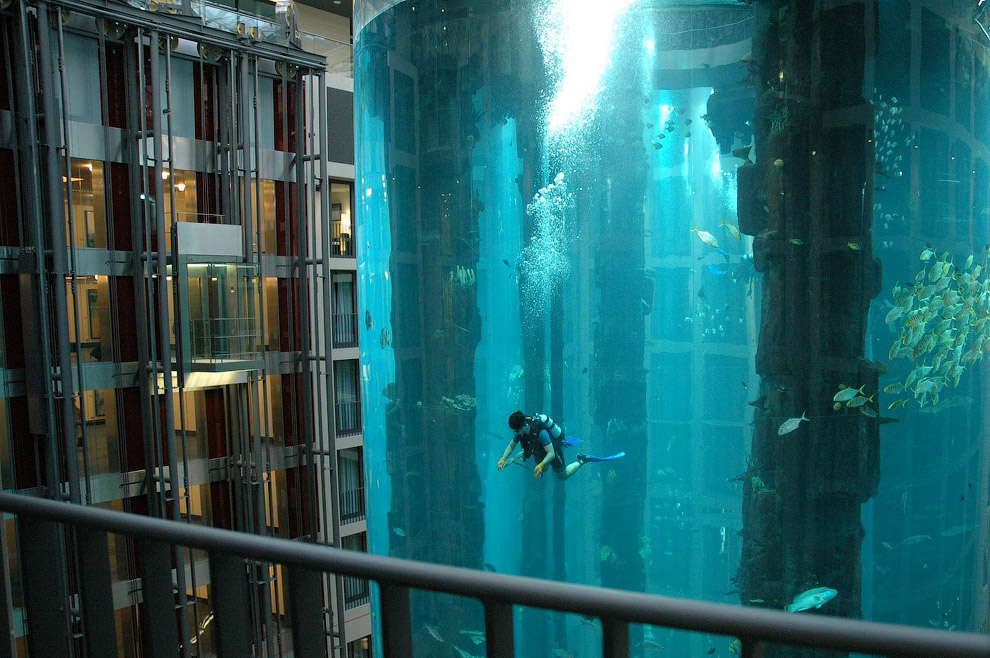 Гигантский аквариум Аквадом