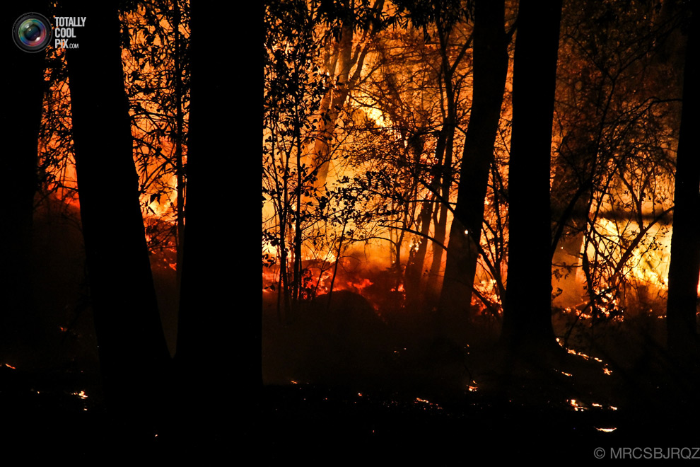 Лесной пожар в Мексике