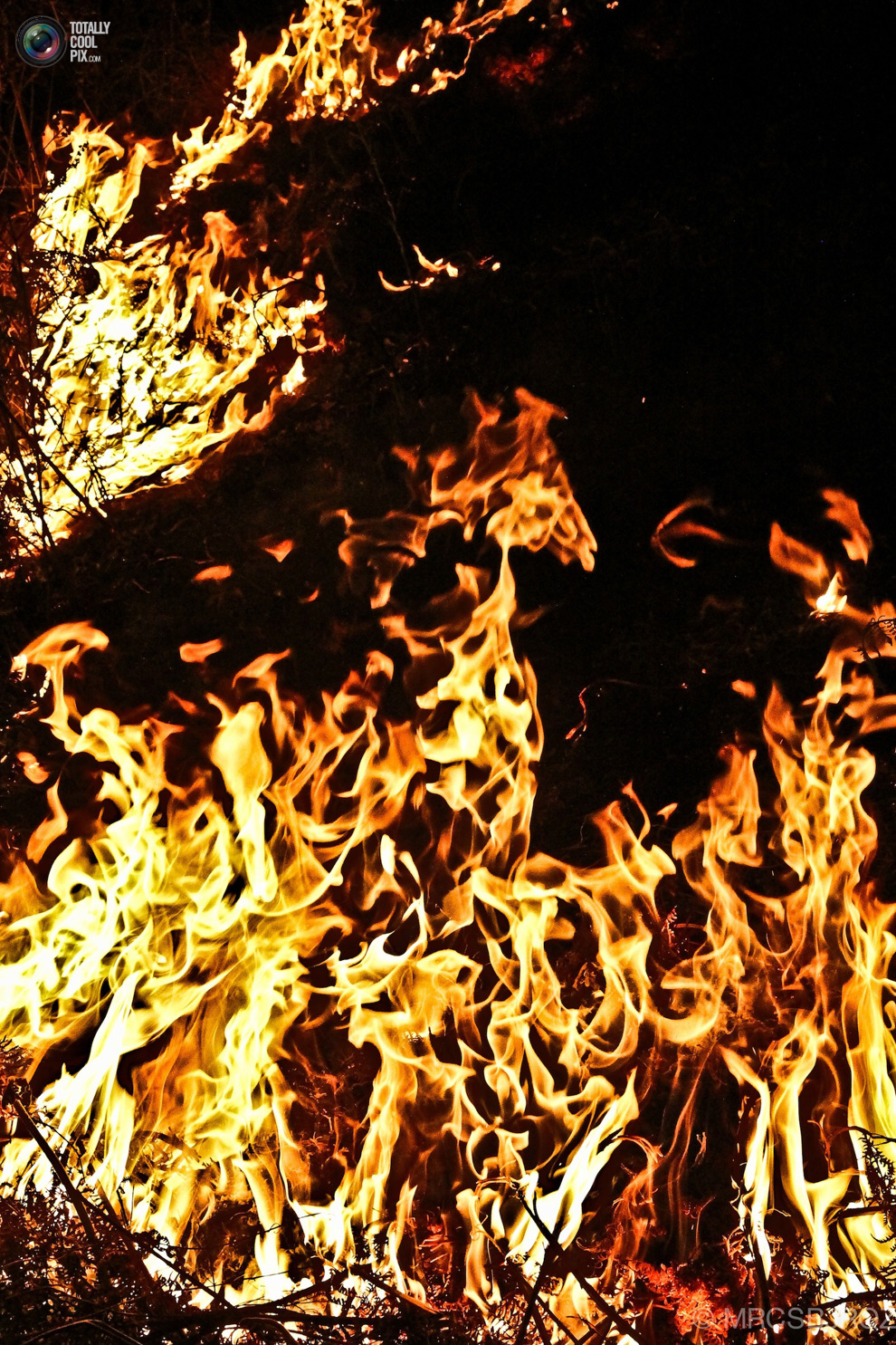 Лесной пожар в Мексике