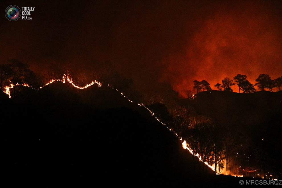 Лесной пожар в Мексике