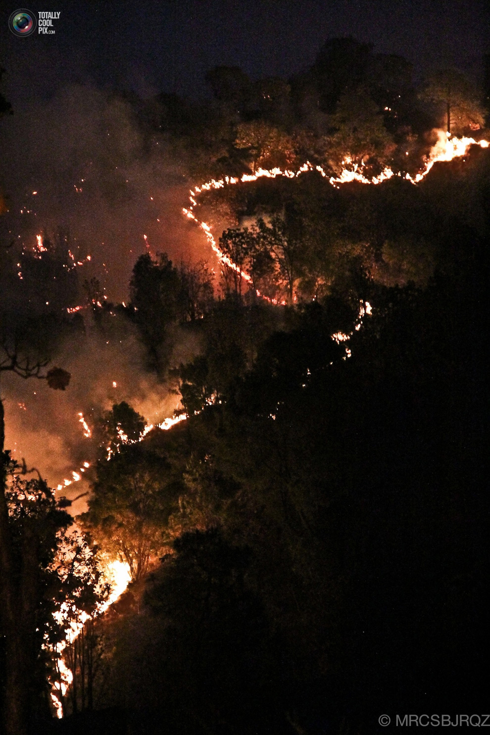 Лесной пожар в Мексике