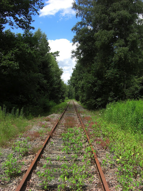 Заброшенные железные дороги