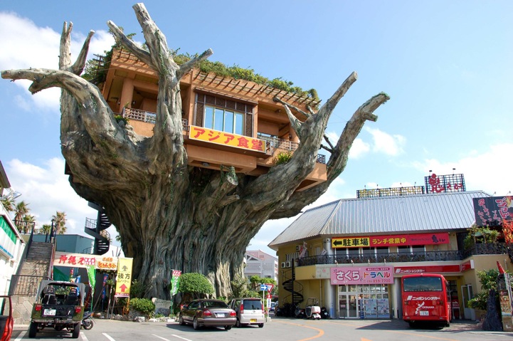 Ресторан на дереве