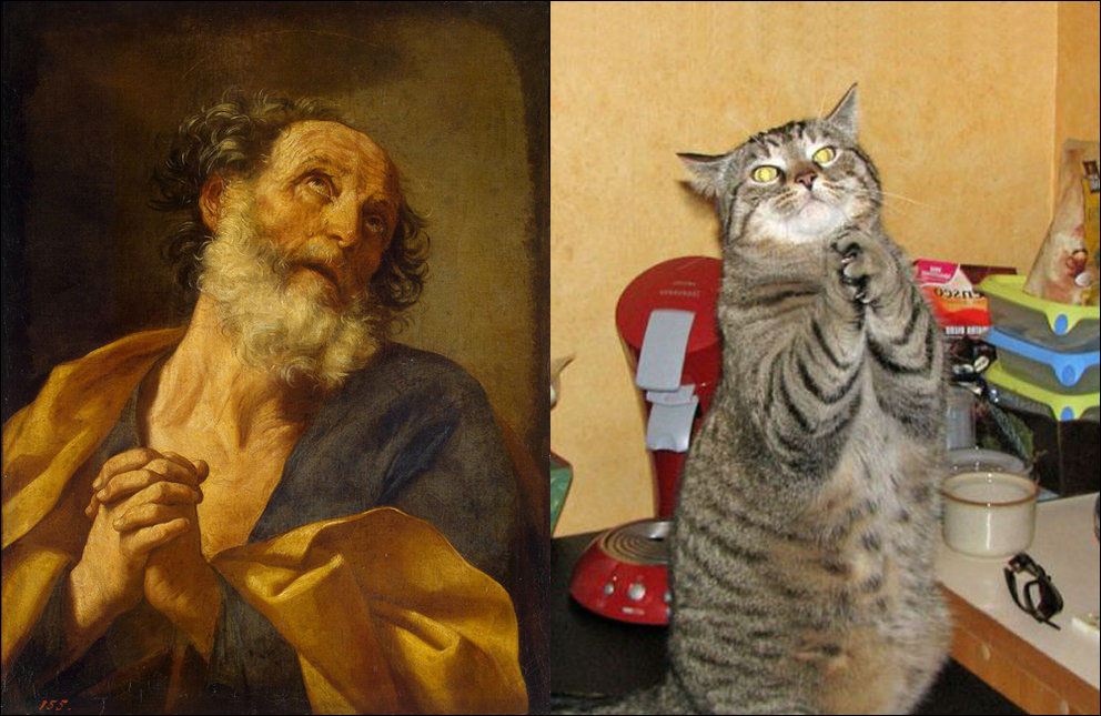 Коты и искусство