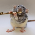 Музыкальные крысы Эллен ван Деелен