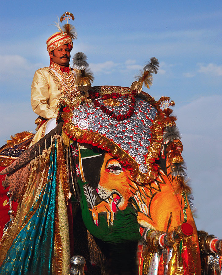 Праздник слонов в Индии