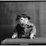 Собачьи портреты на старинных фотографиях 