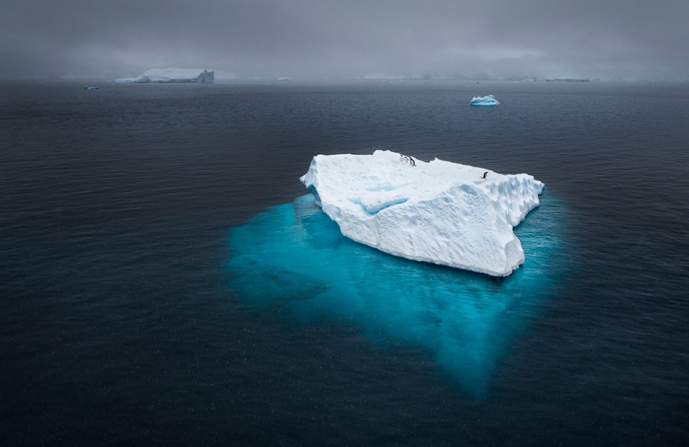 Пингвины на айсберге 