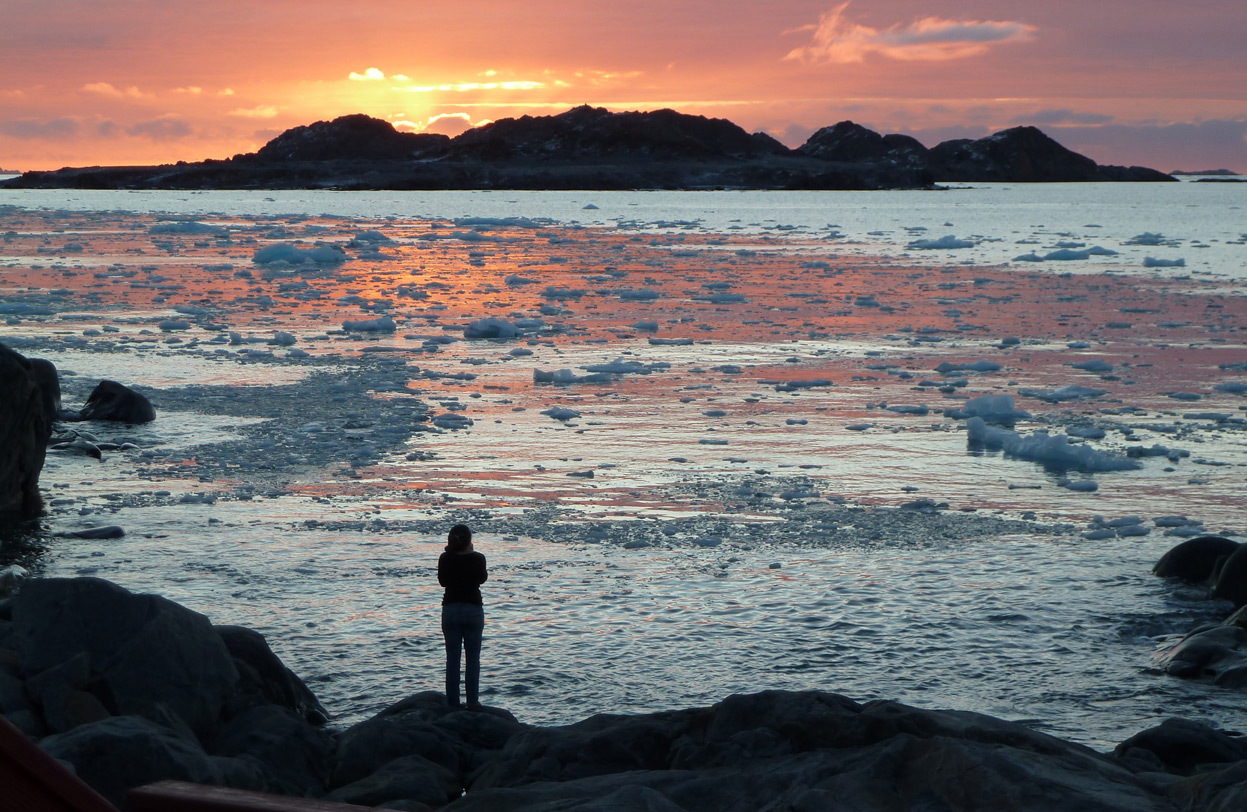 Артарктика