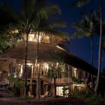 Сверхэкологичные бамбуковые дома