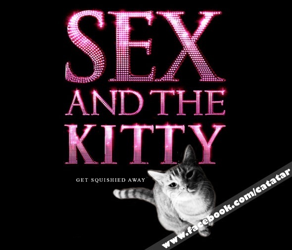 8. “Секс в большом городе” (Sex and the City)