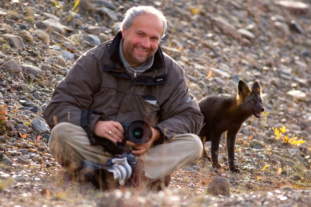 Чёрно-бурая лисица, Юкон, Канада. (Steffen Sailor)