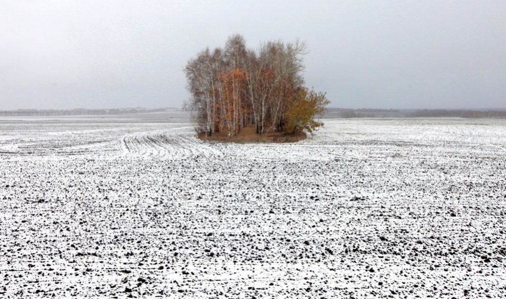 Снег в поле