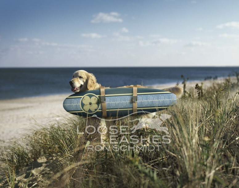 8. Художественные фото собак моделей от фотографа Рона Шмидта.