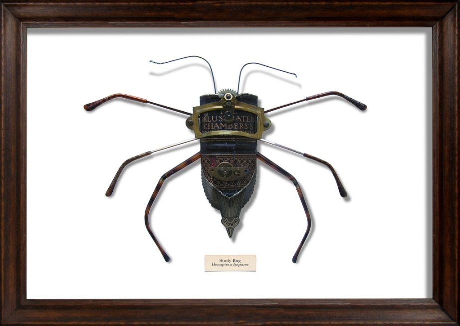 16. Ученый таракан (Study Bug)