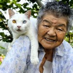Бабушка и кошка – неразлучные друзья