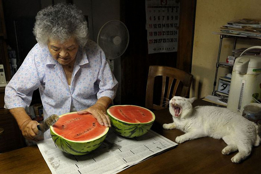 Бабушка и кошка - неразлучные друзья