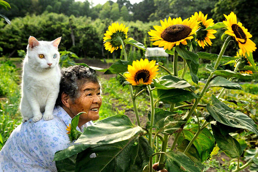 Бабушка и кошка - неразлучные друзья
