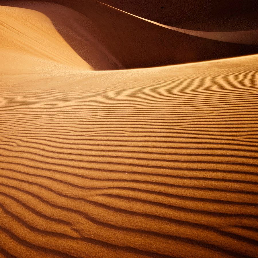 1. Намибийские дюны. Фотограф: Shawn van Eeden.