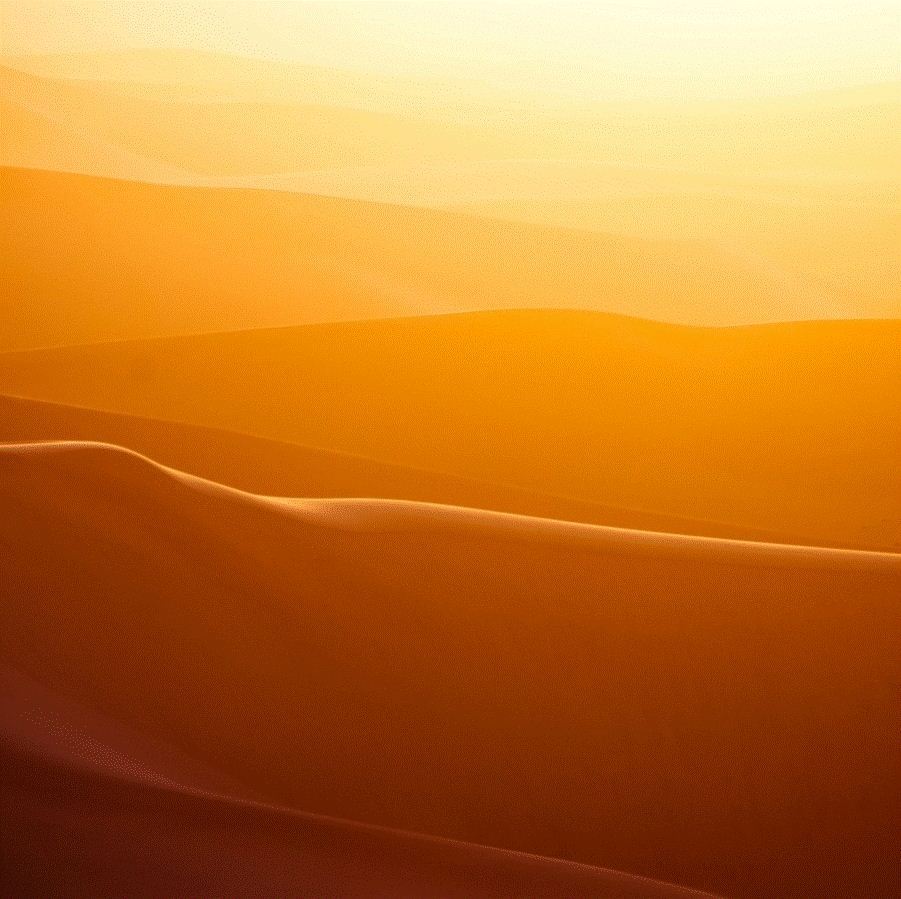 2. Намибийские дюны. Фотограф: Shawn van Eeden.