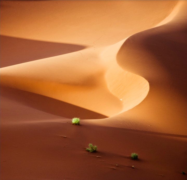 6. Намибийские дюны. Фотограф: Shawn van Eeden.