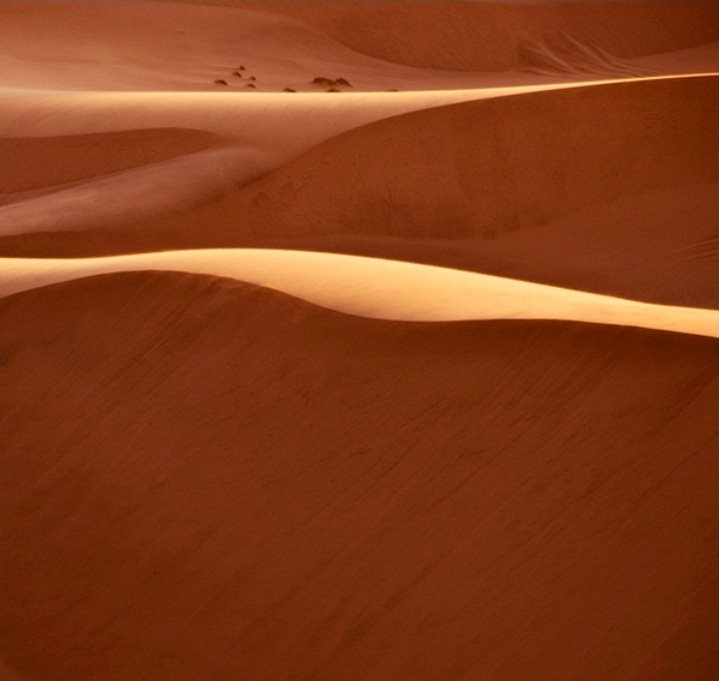 7. Намибийские дюны. Фотограф: Shawn van Eeden.