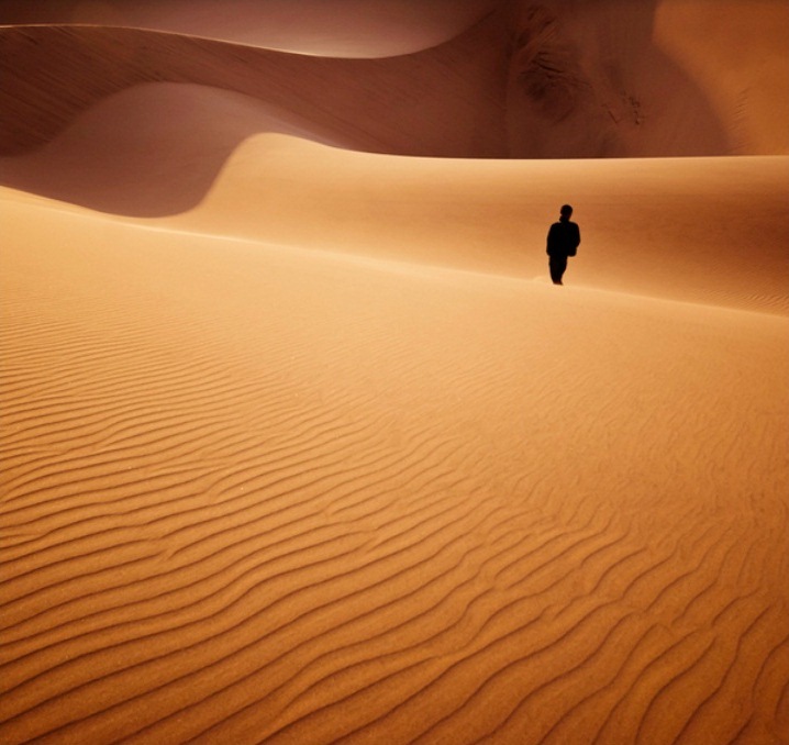 9. Намибийские дюны. Фотограф: Shawn van Eeden.