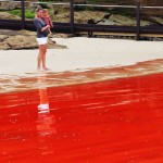 Красный океан в Австралии