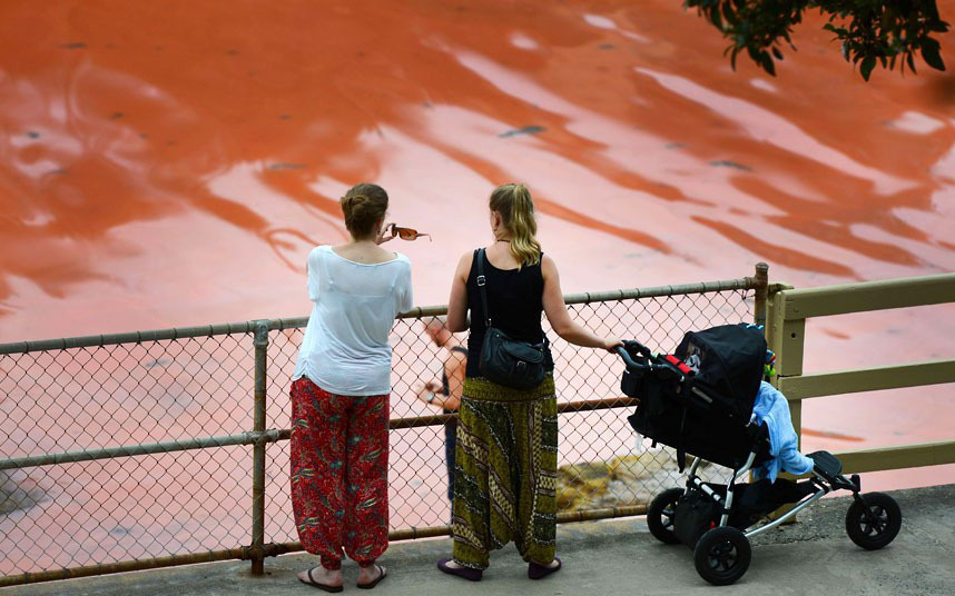 Красный океан в Австралии