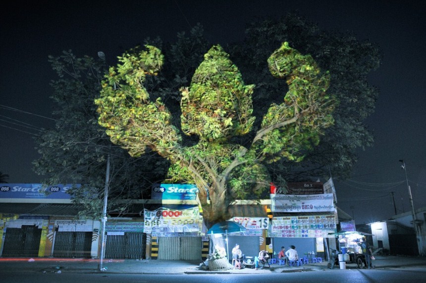 3. Световая инсталляция «Деревья Камбоджи». Автор: Клемен Брийон