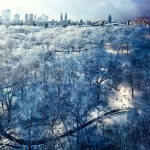 20 изумительных фотографий Центрального парка в Нью-Йорке