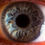 Удивительные макрофотографии человеческих глаз 