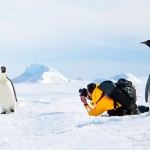 Арктика и Антарктика в фотографиях Дэвида Шульца