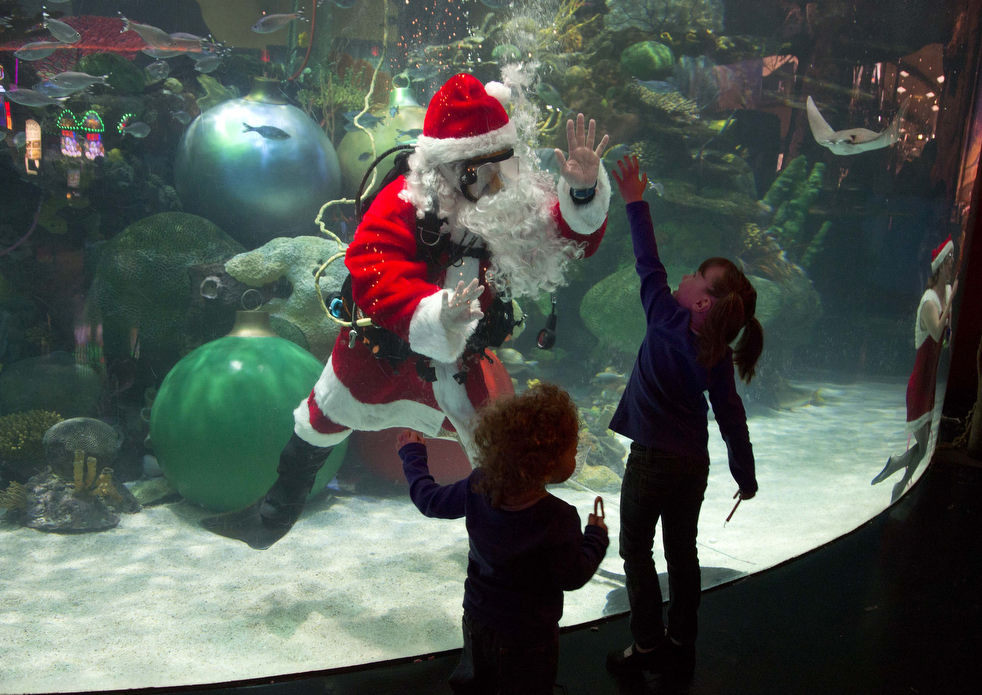 Мужчина в костюме Санта Клауса развлекает детей в аквариуме казино-отеля «Silverton Hotel-Casino» в Лас-Вегасе, 9 декабря 2012 года. (AP / Julie Jacobson)