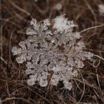 Удивительные снежинки в объективе Андрея Осокина
