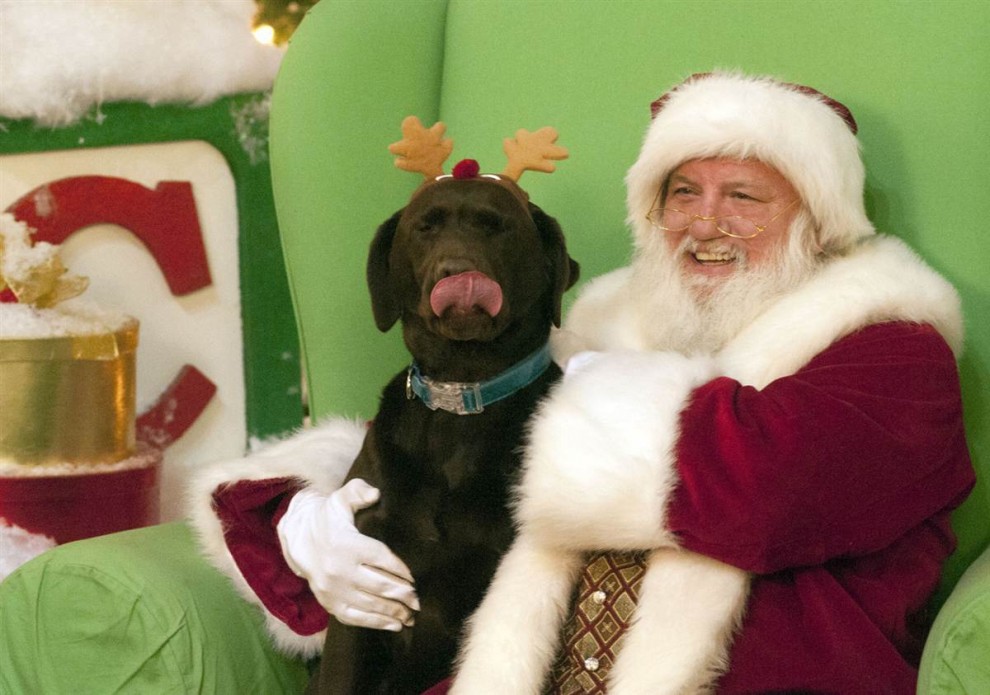 Санта Клаус с собакой