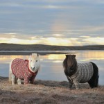 Шетландские пони призывают посетить Шотландию