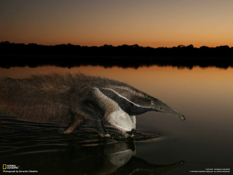 Лучшие фотографии National Geographic